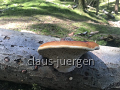 Staustufe 8 Kinsau Lech