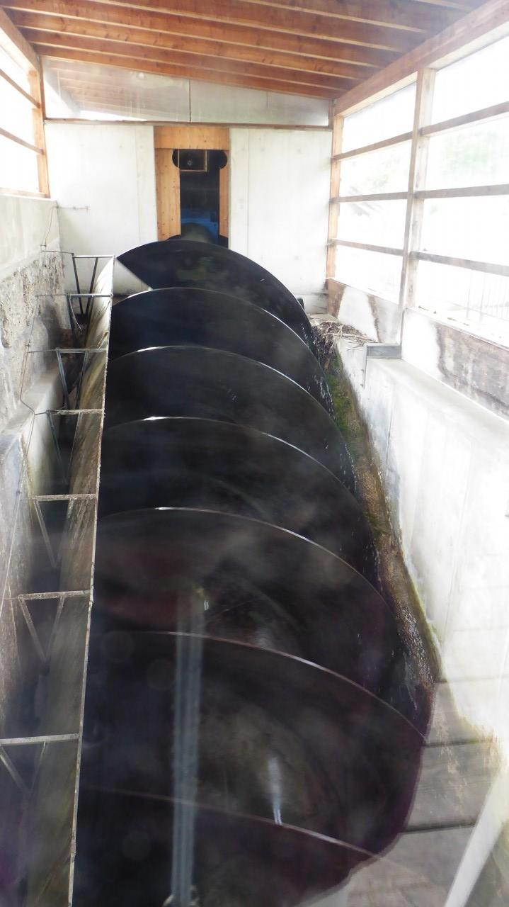 ?random=0&maxWidth=0&embedded=0&thumbnail=large