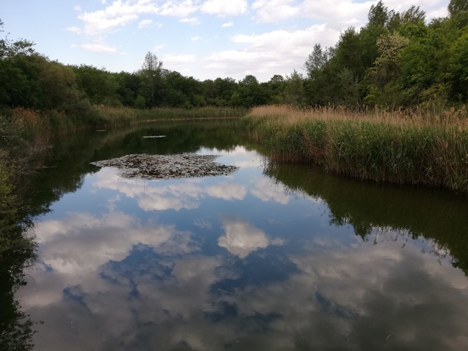 Himmelteich