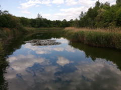 Himmelteich
