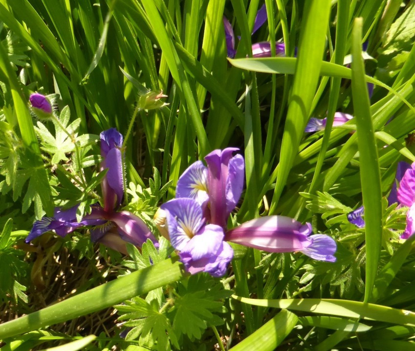 P1190911