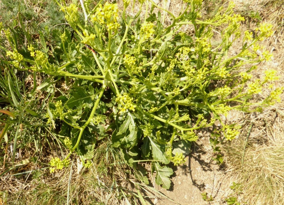 P1190990