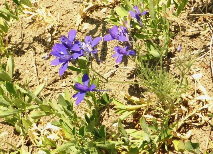 P1200002