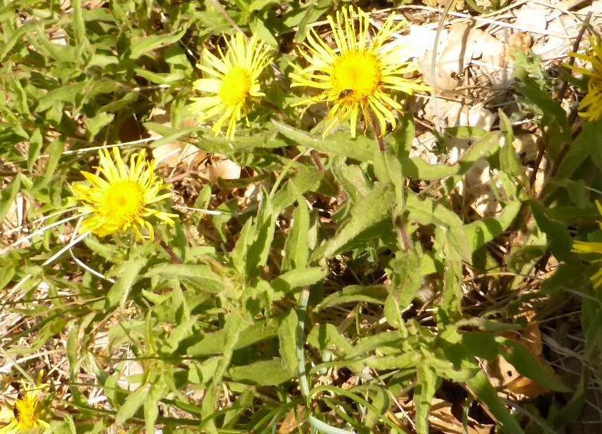 P1200027