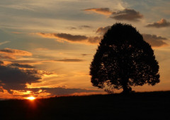 Sonnenuntergang am Irschenberg