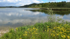 Seehamer See