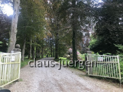 Grünes und Blühendes