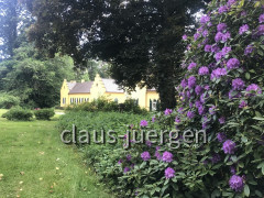 Grünes und Blühendes