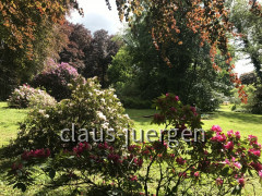 Grünes und Blühendes