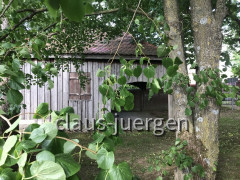 Jüdischer Friedhof Fischach Tahara
