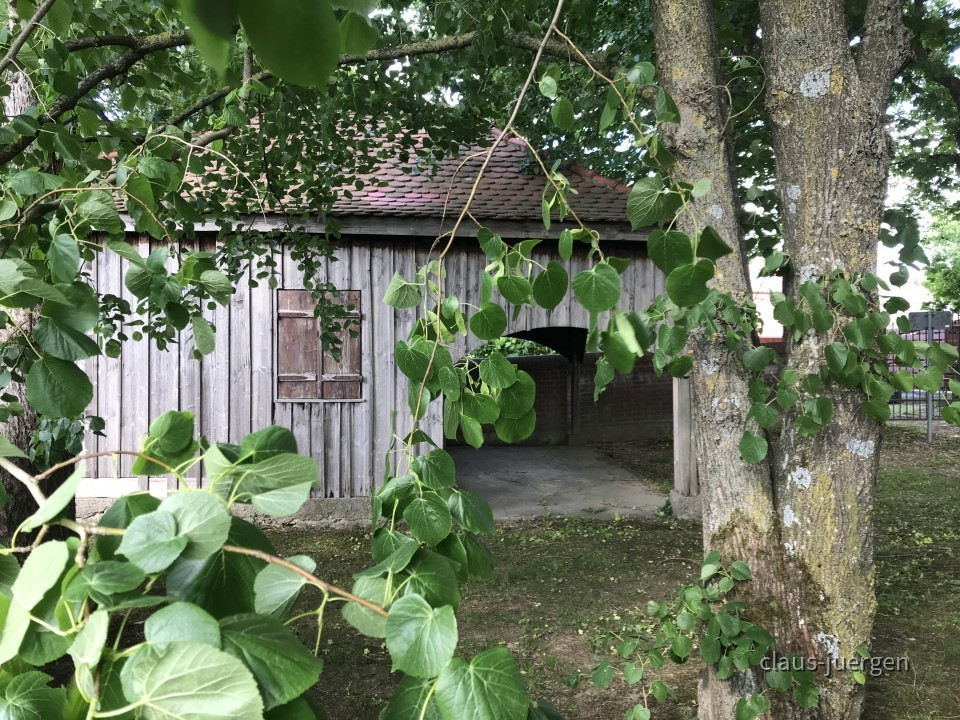 Jüdischer Friedhof Fischach Tahara