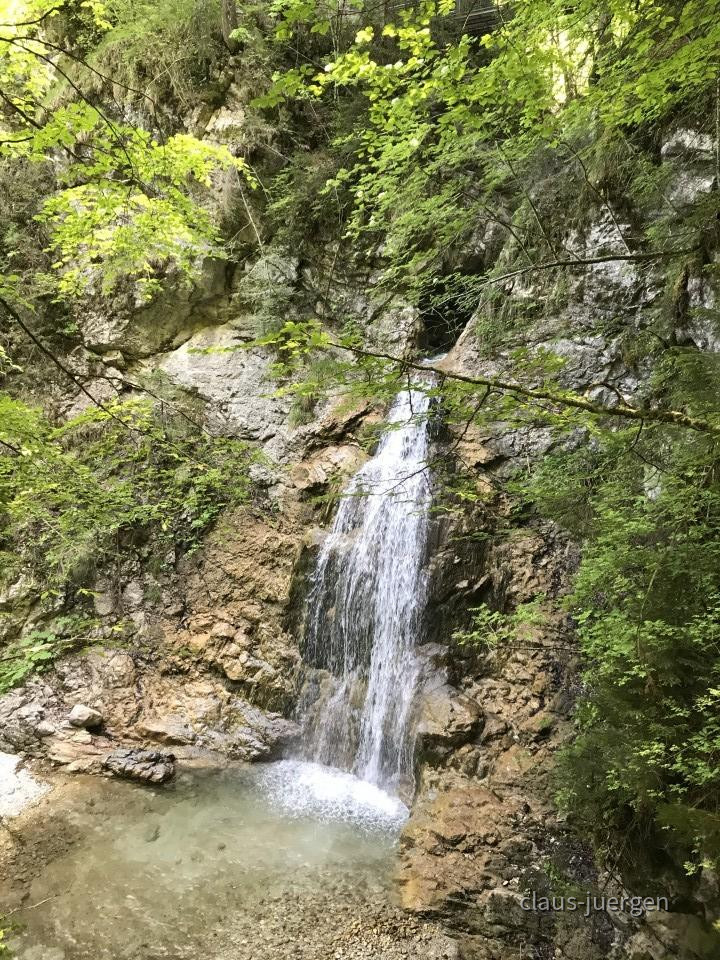 ?random=0&maxWidth=0&embedded=0&thumbnail=large