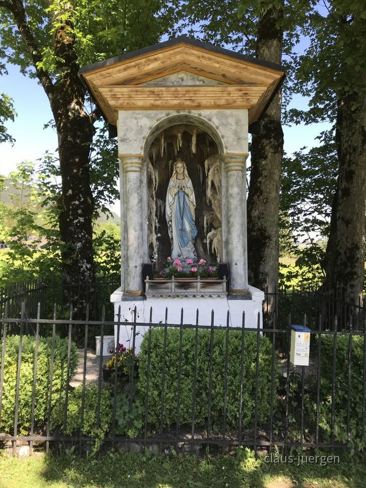 ?random=0&maxWidth=0&embedded=0&thumbnail=large