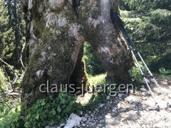 Teufelstättkopf
