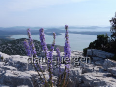 Vransko Jezero Kamenjak