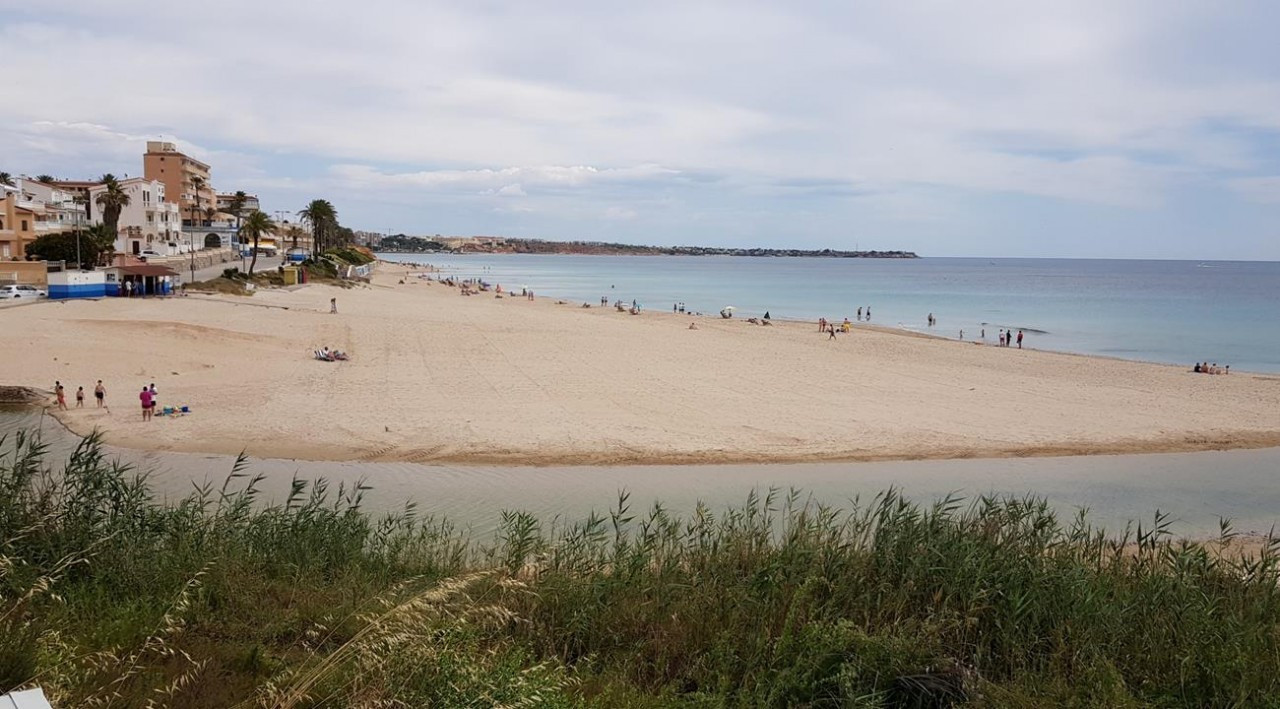 Mil Palmeras_03a