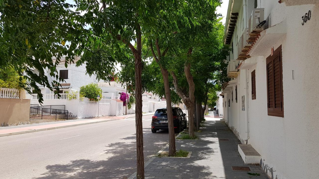Mil Palmeras_09