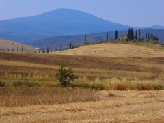 6 Amiata