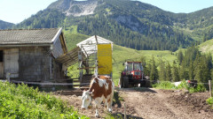 Ackernalm 13.6.2020