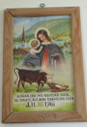 Ackernalm 13.6.2020