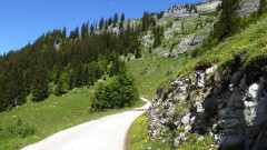 Ackernalm 13.6.2020