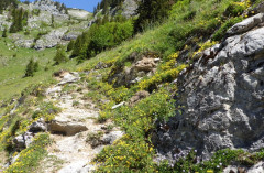 Ackernalm 13.6.2020