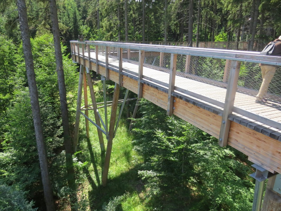 Baumwipfelpfad Riesengebirge