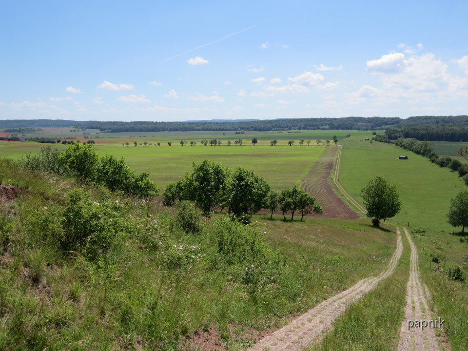 Kolonnenweg