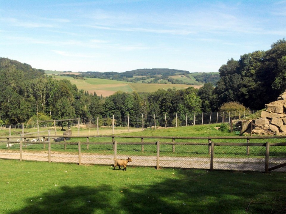 06 Kasselburg
