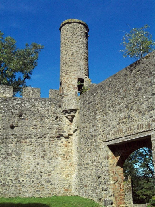 23 Kasselburg
