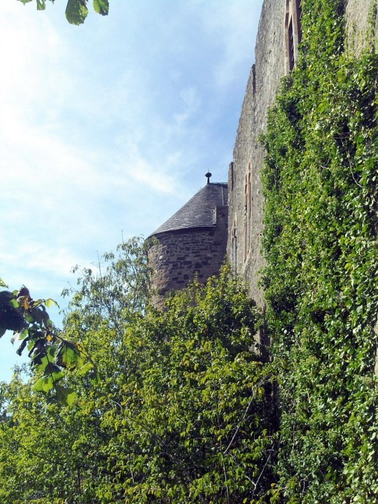 27 Kasselburg