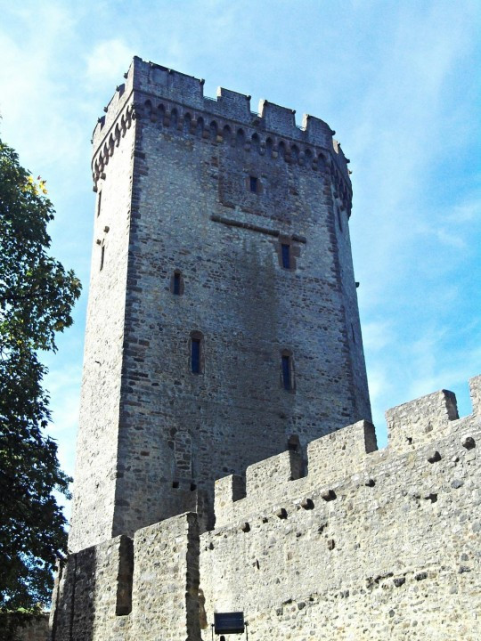 29 Kasselburg