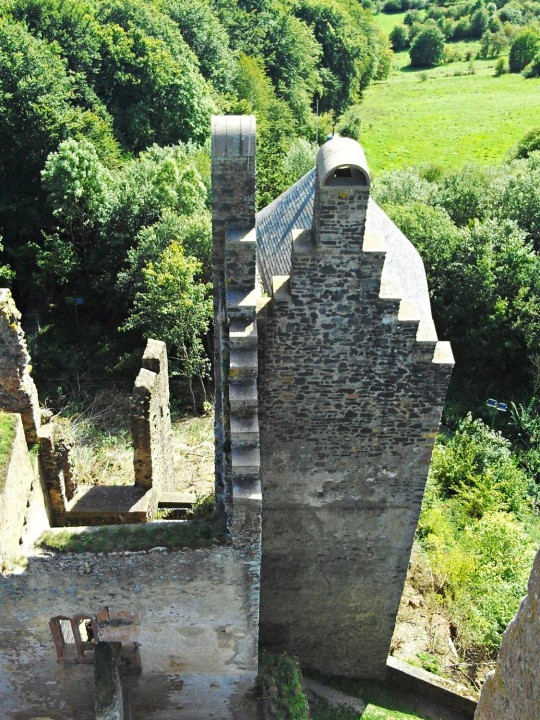 36 Kasselburg