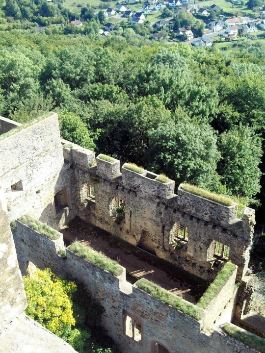 37 Kasselburg
