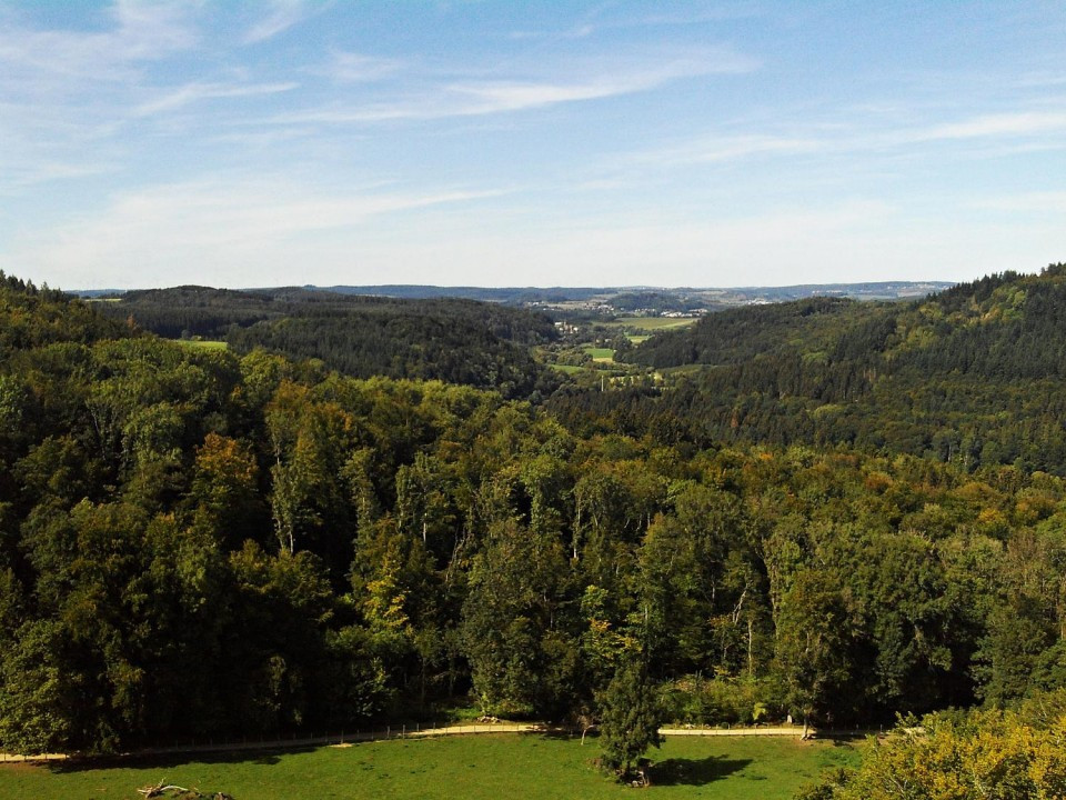 42 Kasselburg