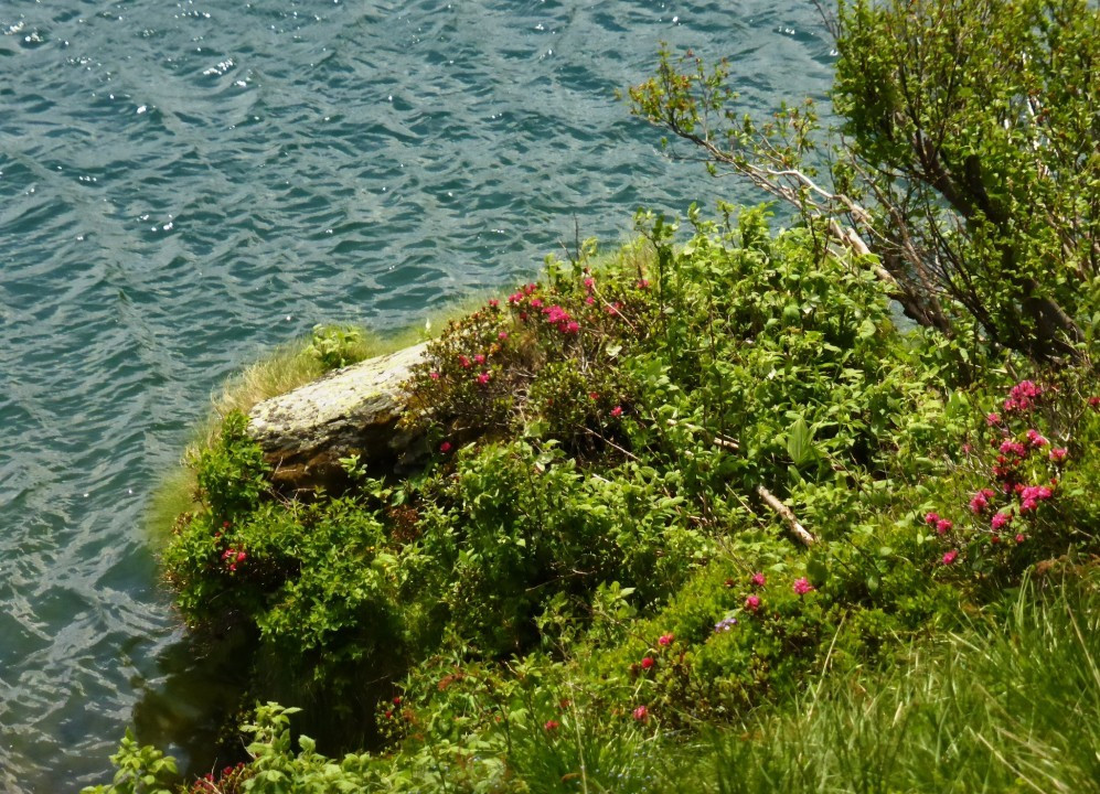 P1200572