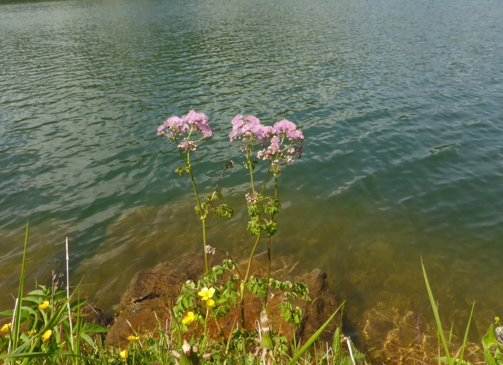 P1200745