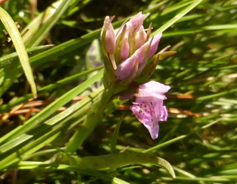 P1200732