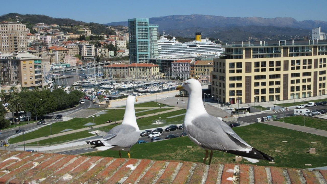 Savona_35