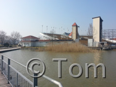 Neusiedlersee