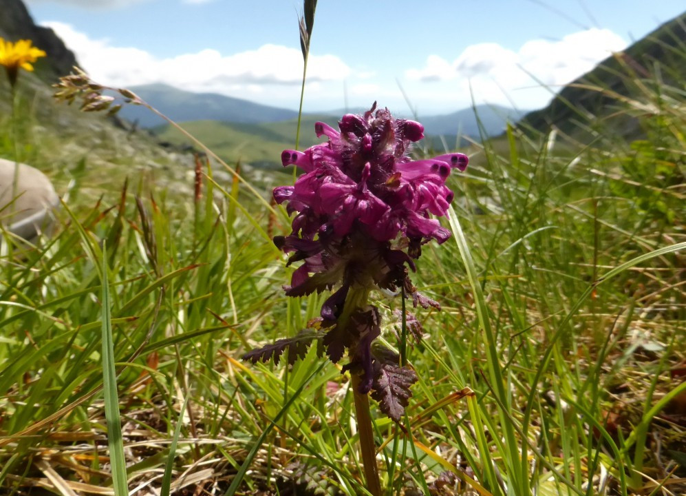 P1210589