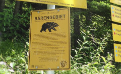 Bärenschild