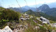 P1120299.900 JPG