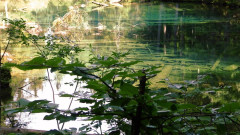 Bodensee (7)