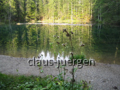 Bodensee Naßfeldpaß