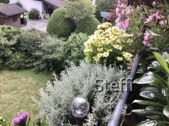 33D37745-62D8-4E0E-A848-8E777DF851E9