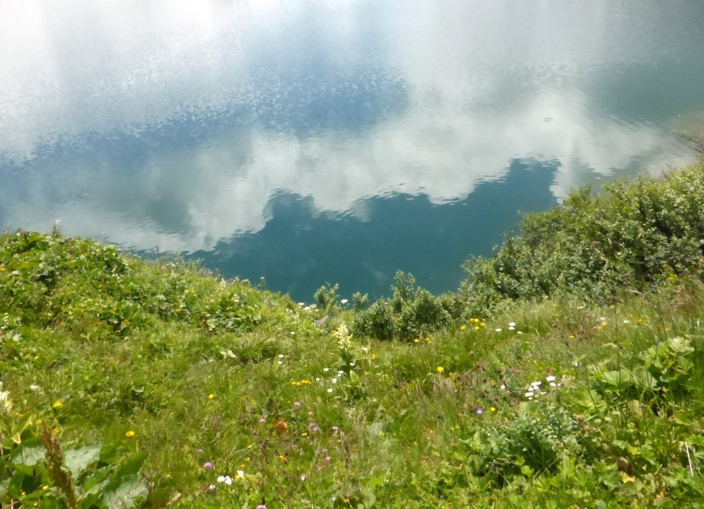 P1220220