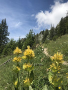 Vier Hütten Wanderung
