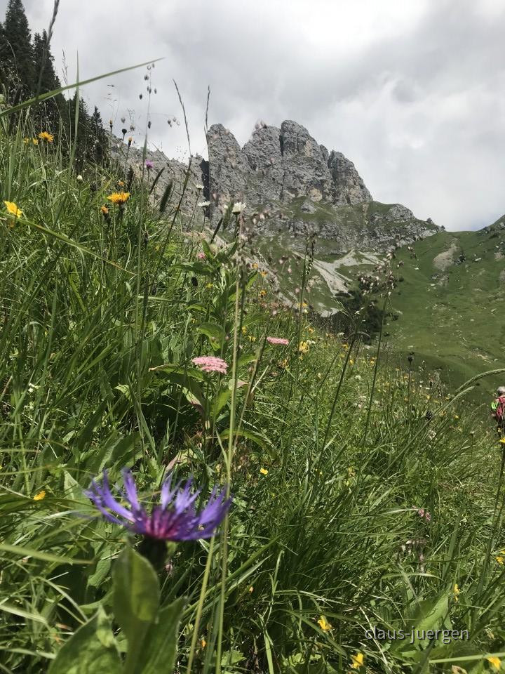 ?random=0&maxWidth=0&embedded=0&thumbnail=large