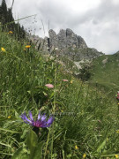 Vier Hütten Wanderung